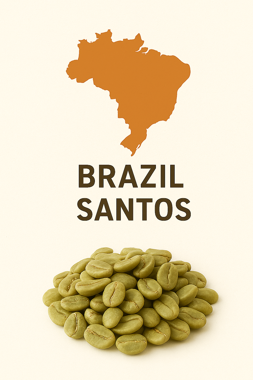 Brazil Santos